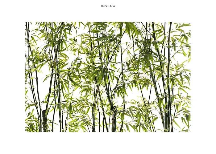 Costa De Prata 2 & 3* Figueira da Foz